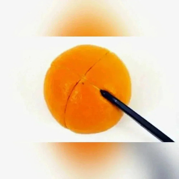 *NEW* Tupperware Orange Citrus Peeler in Black - Picture 5 of 5